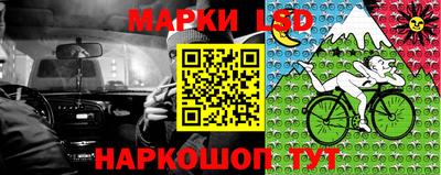 винт Ставрополь