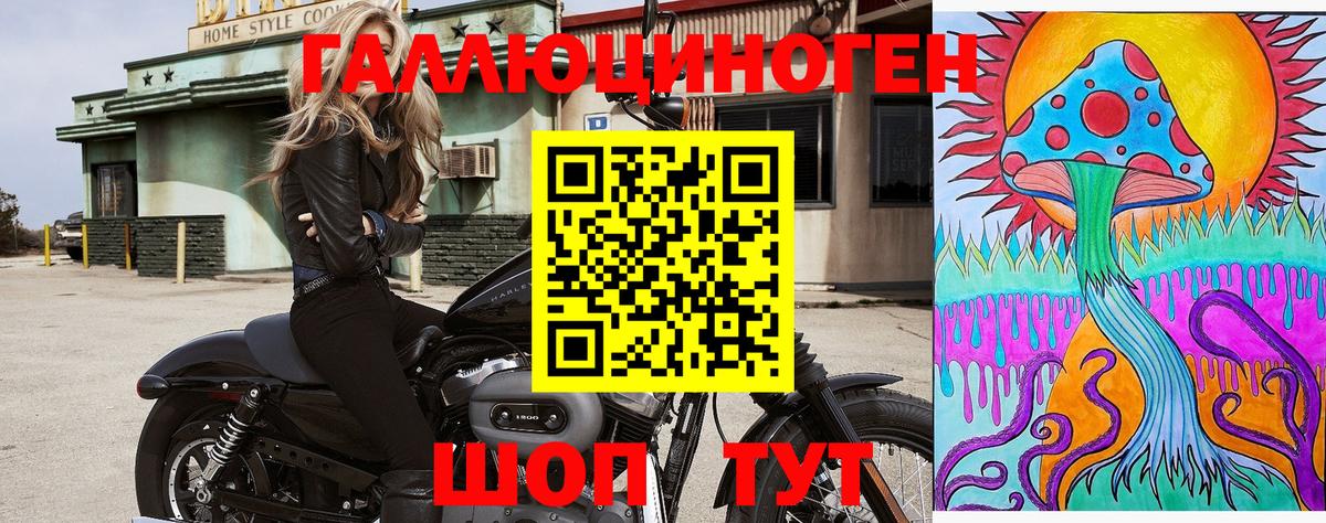 что такое наркотик  Псилоцибиновые грибы ЛСД  Вход с VPN  Нефтекумск 