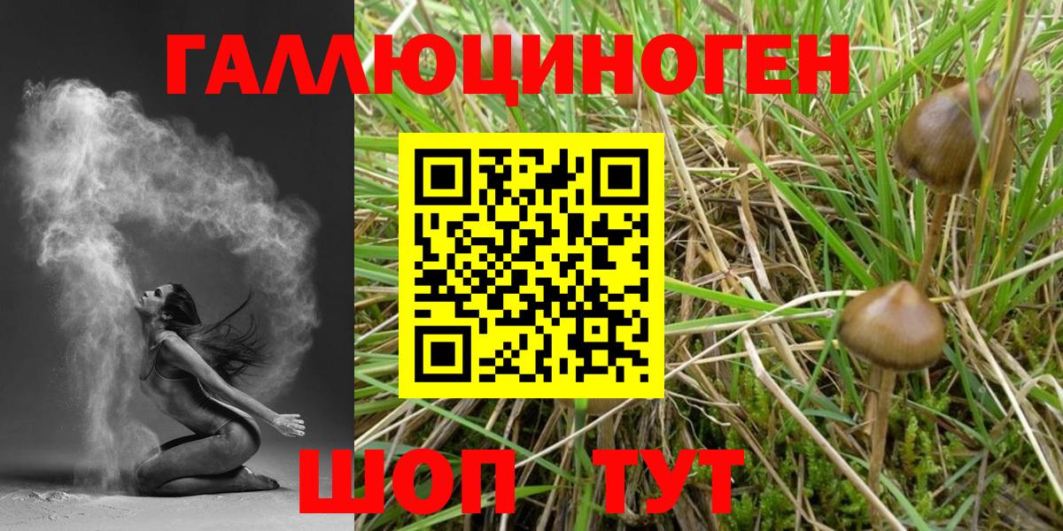 Псилоцибиновые грибы мухоморы Нефтекумск